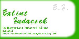balint hudacsek business card